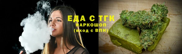 индика Богородицк