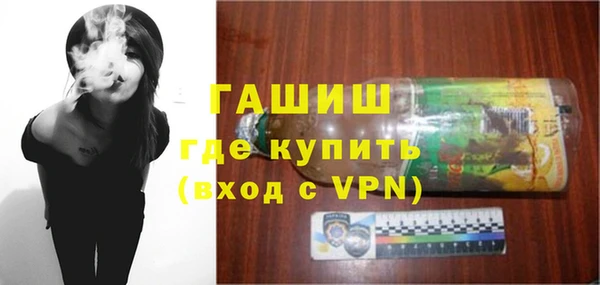 индика Богородицк