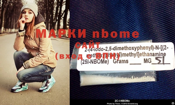 индика Богородицк