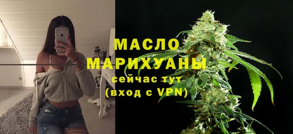 индика Богородицк