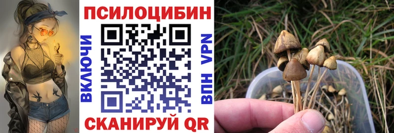 Галлюциногенные грибы GOLDEN TEACHER где найти Колпашево